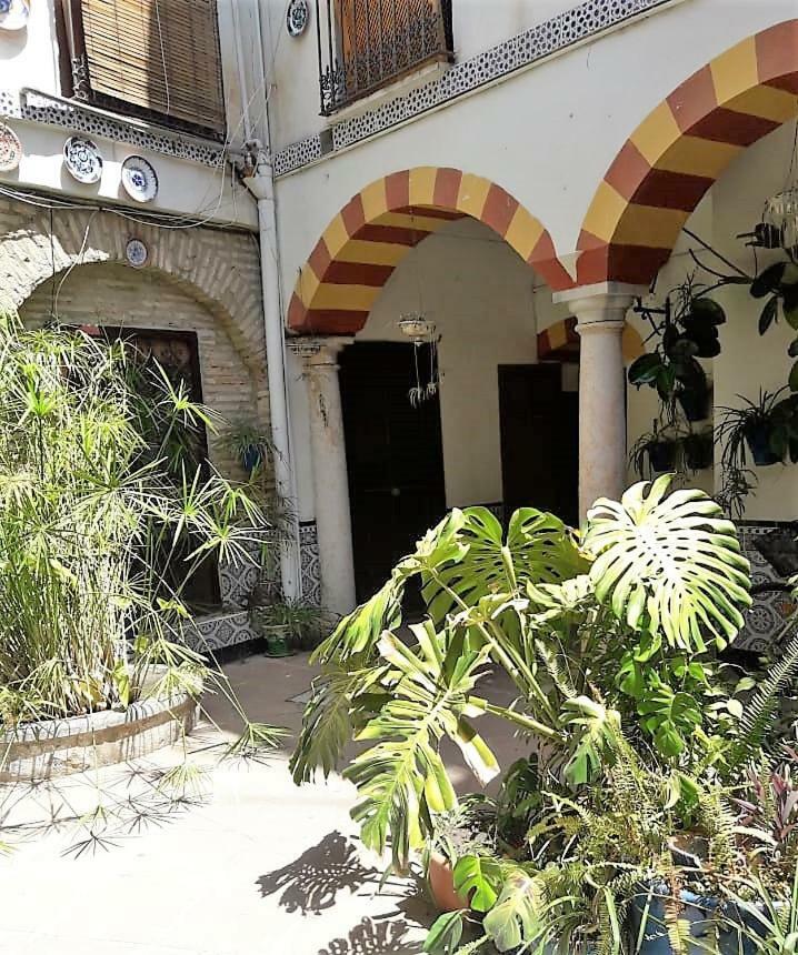 Ap Abderraman I Cordoba Apartment Ngoại thất bức ảnh